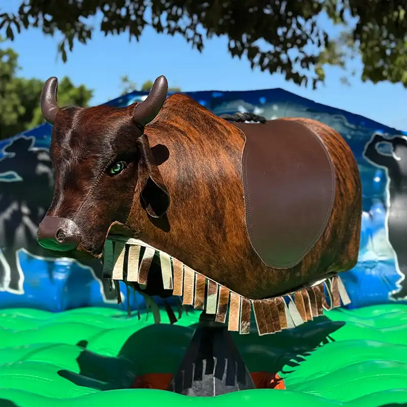 touro mecanico 4